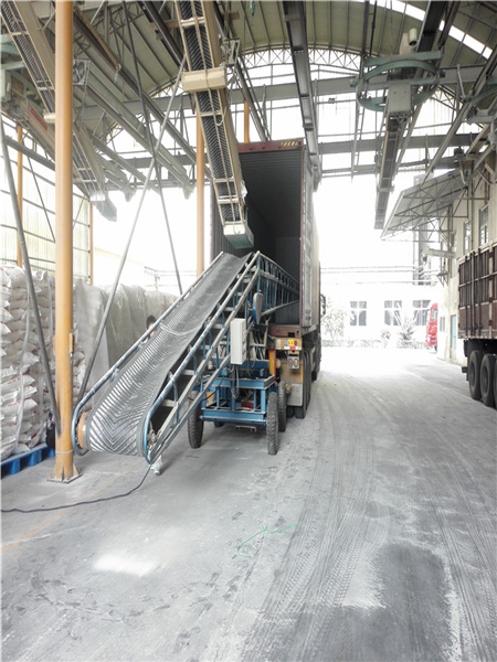 裝車(chē)輸送機(jī)