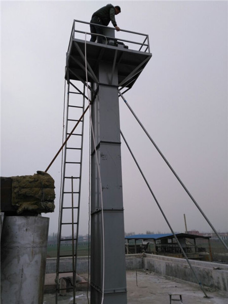 定制玉米斗式提升機(jī)