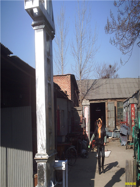 山東糧食垂直輸送提升機(jī)